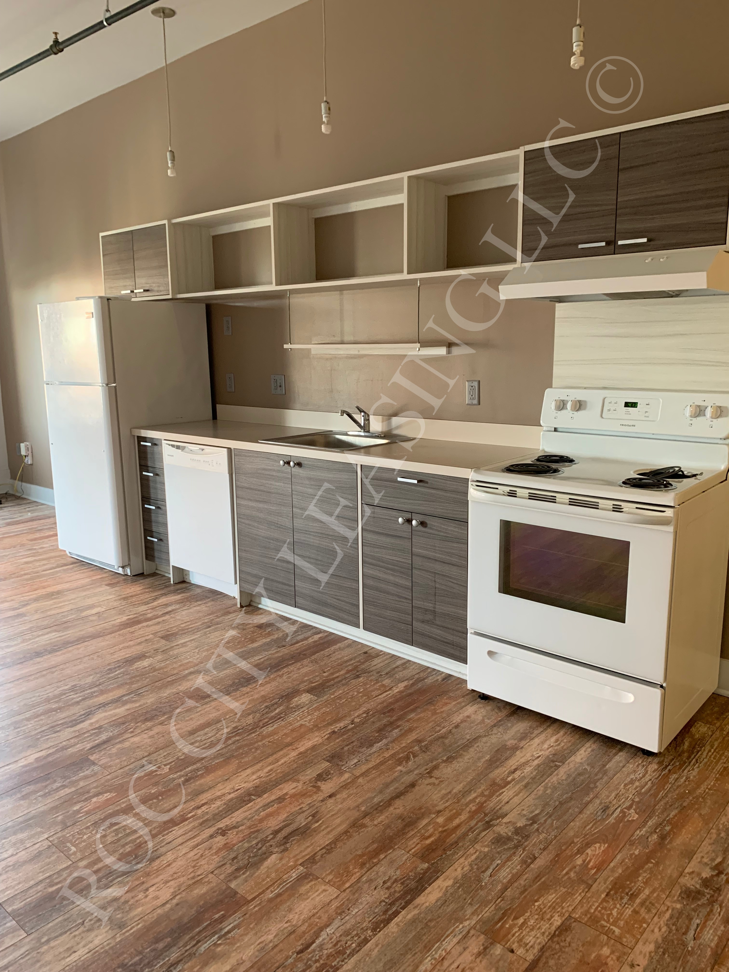 Rochester Apartment: 155 Saint Paul St