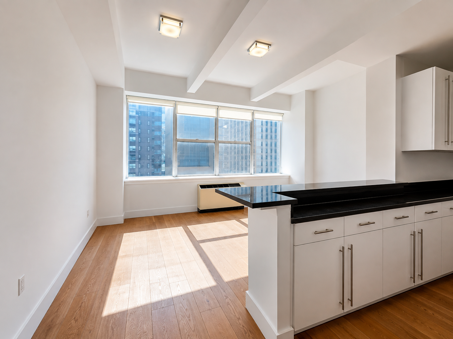 New York Condo: 50 Murray St