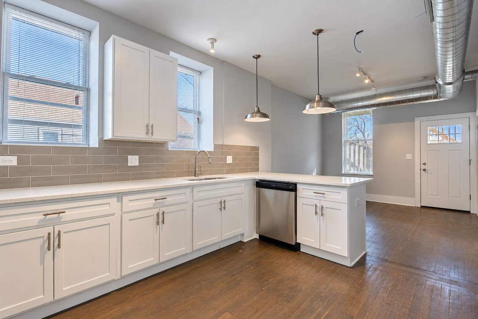 Chicago Condo: 2117 West 18th Street