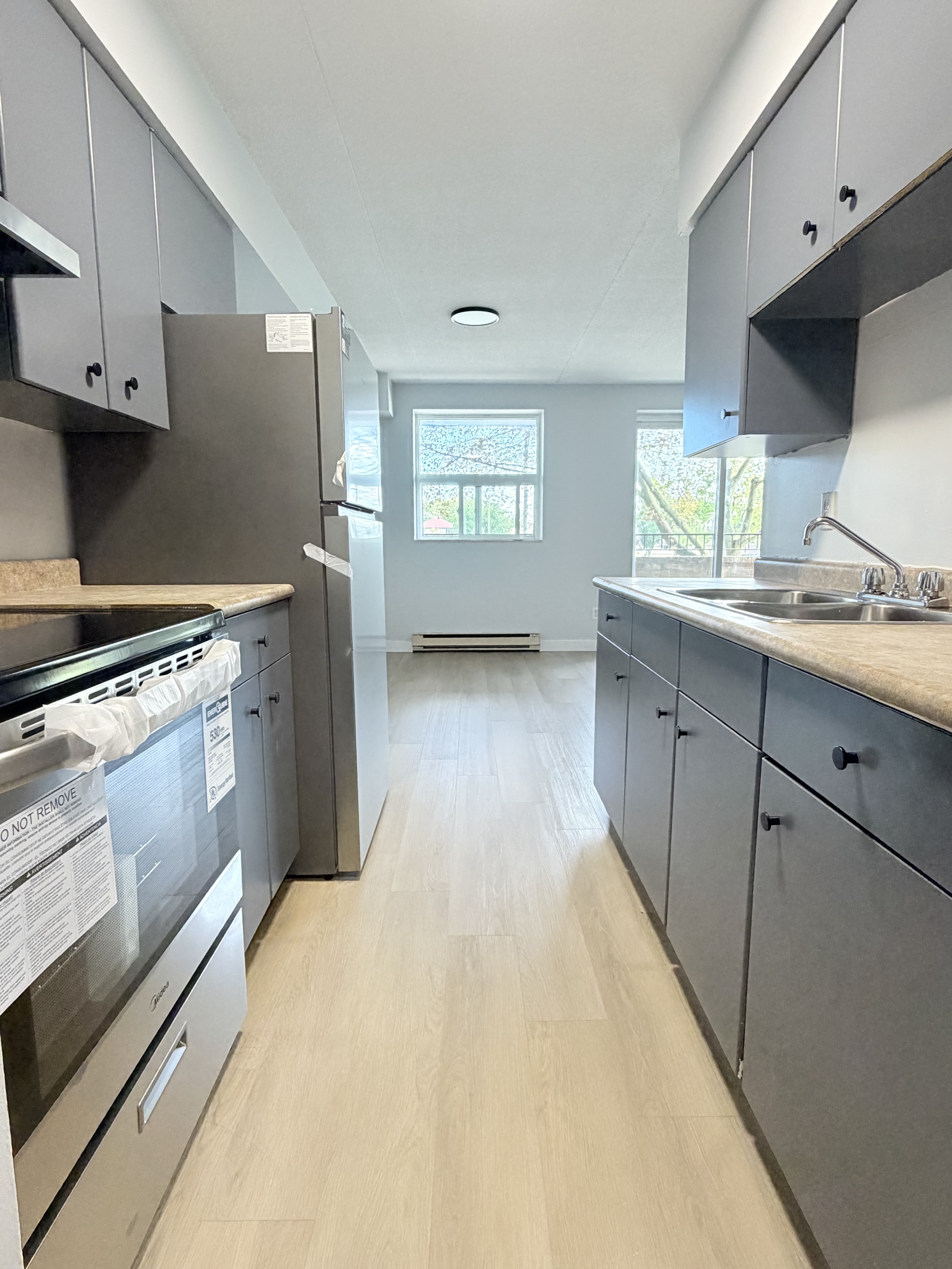 Windsor Condo: 1071 McDougall St