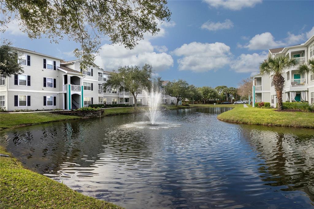 Tampa Condo: 6105 Paddock Glen Drive