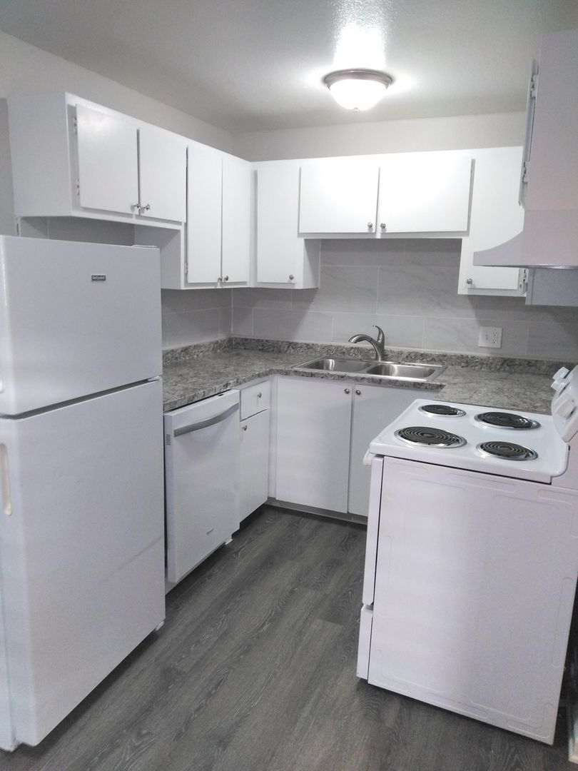 Colorado Springs Apartment: 1429 Potter Dr