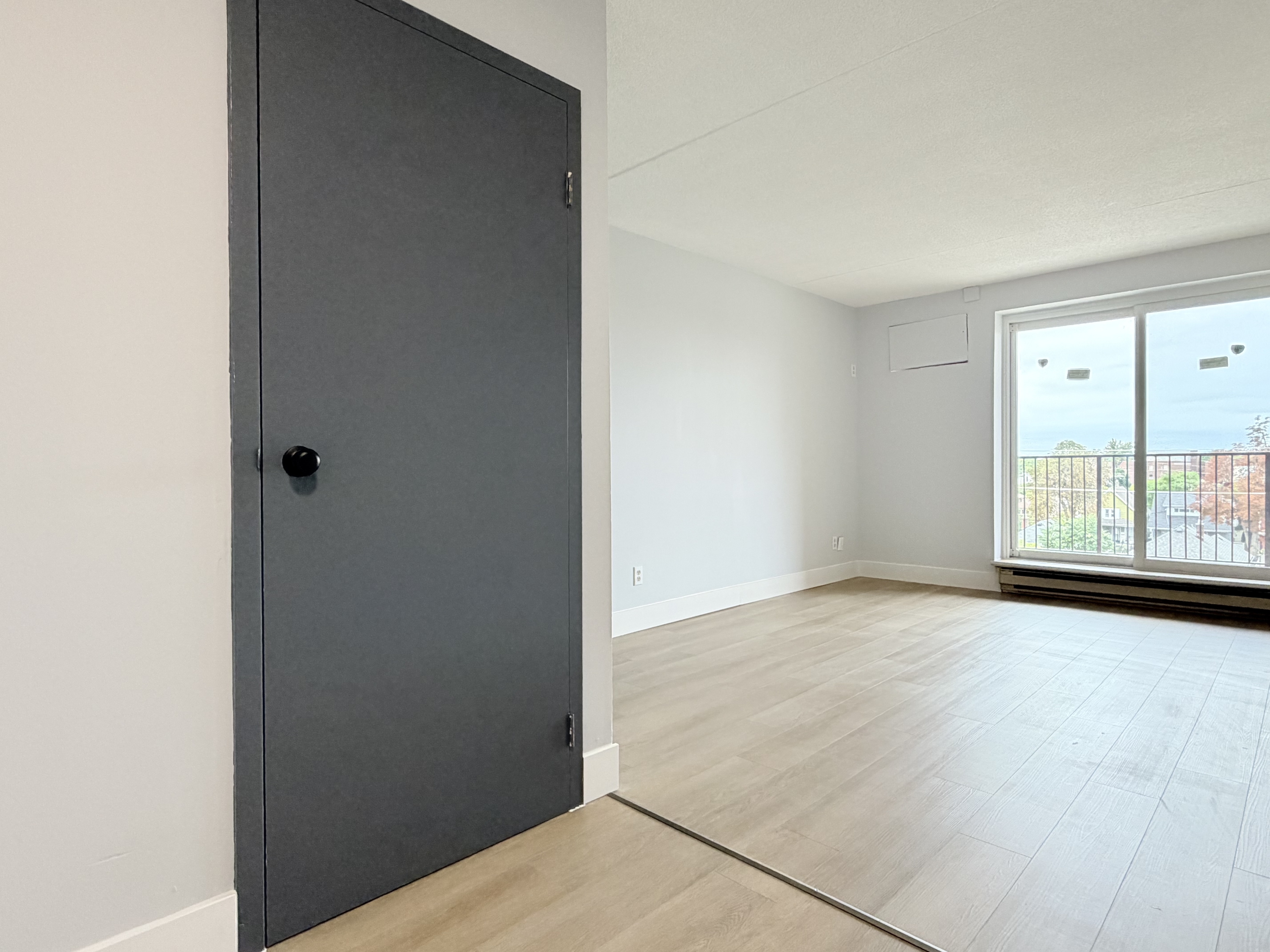 Windsor Condo: 1071 McDougall St