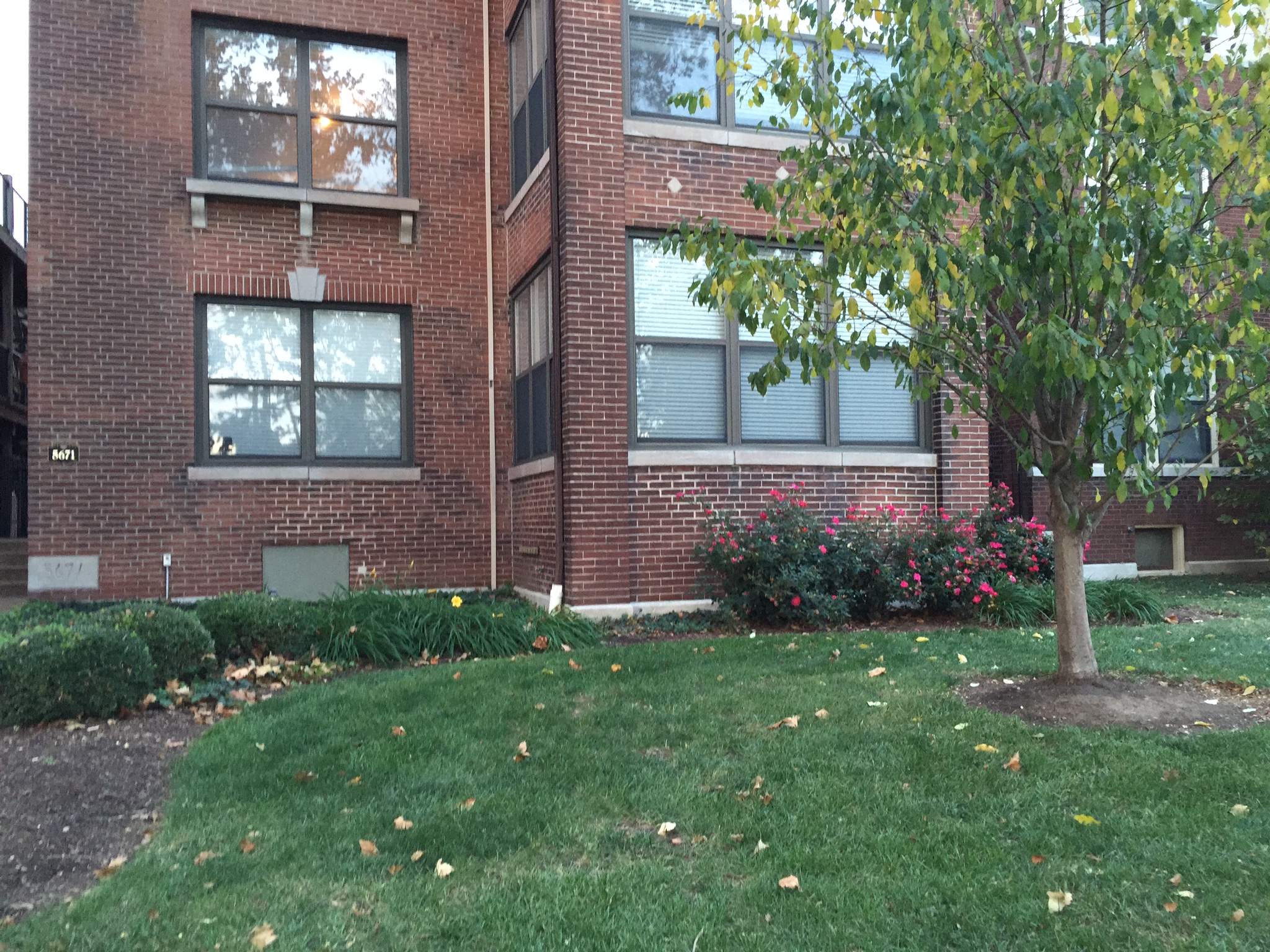 Condo for Rent in Saint Louis