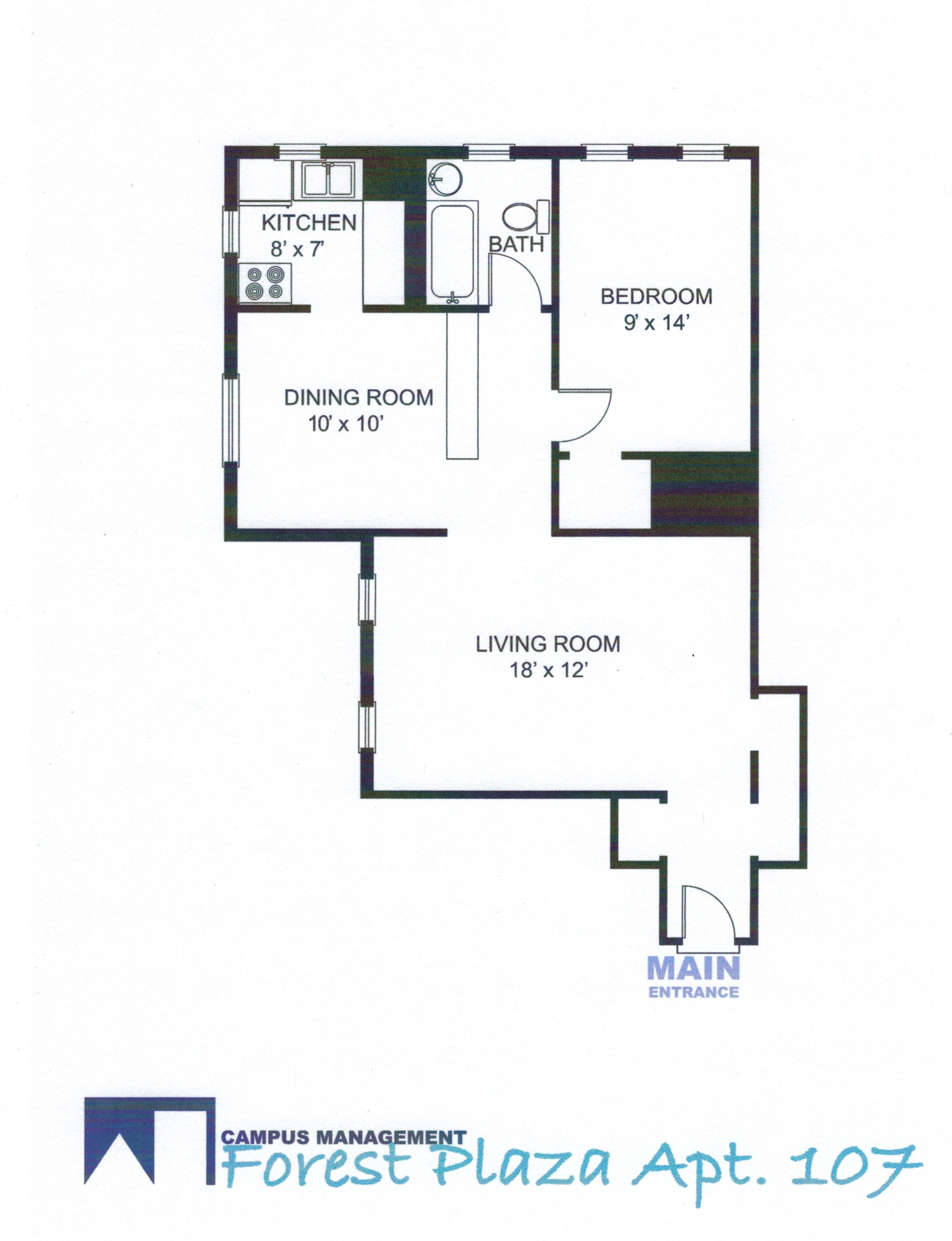 Ann Arbor Apartment: 715 S Forest Ave