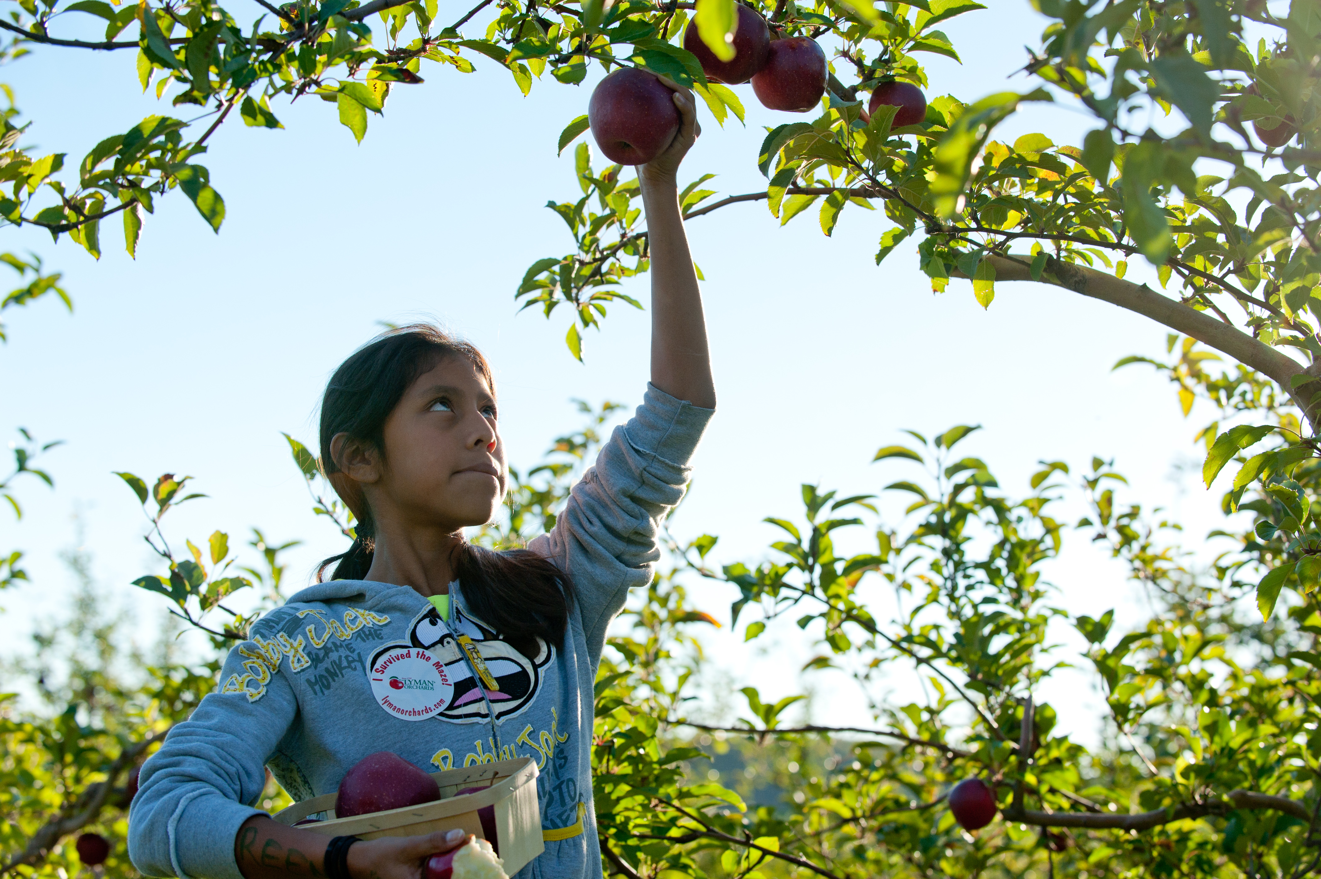 Lyman Orchards The best places, activities and fun for kids and