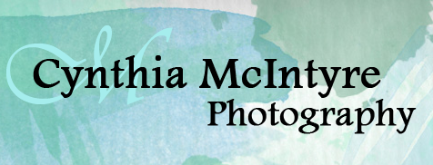 Cynthia McIntyre Photography