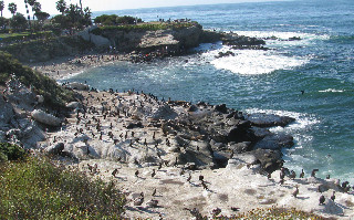 La Jolla Cove
