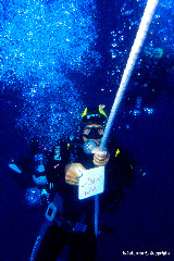 Sicilian Scuba