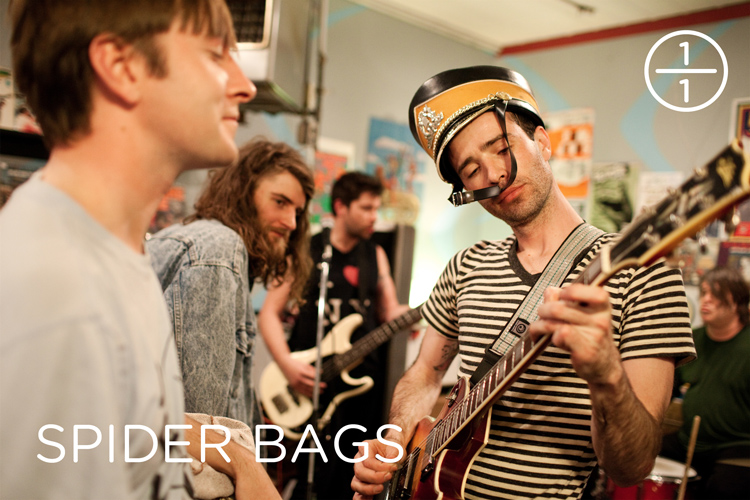 Spider Bags