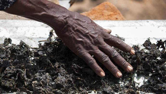 Be sure to add the alt. text