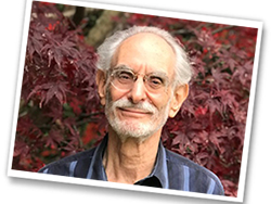 Lou Lippman