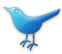 Follow me on Twitter
