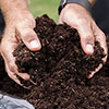 Premium Professional Compost 1 x 60 Litre Bag Premium Professional Compost 1 x 60 Litre Bag