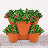 Set of Three Stackable Planters Set of Three Stackable Planters