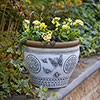 White Papilio Planters