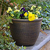 Cromarty Antique Gold Planters