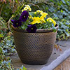 Cromarty Antique Gold Planters