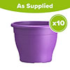 Sabina Purple Planters - 10 x 19cm Pots Sabina Purple Planters - 10 x 19cm Pots