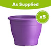 Sabina Purple Planters - 5 x 26cm Pots Sabina Purple Planters - 5 x 26cm Pots