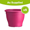 Sabina Pink Planters - 5 x 26cm Pots Sabina Pink Planters - 5 x 26cm Pots