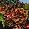 Woodland Natural Festive Wreath
