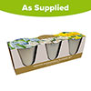 Indoor Windowsill Flower Set Indoor Windowsill Flower Set