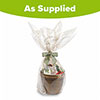 Deluxe Gardening Bundle Of Joy Gift Set