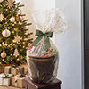 Premium Gardening Bundle Of Joy Gift Set