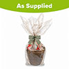 Premium Gardening Bundle Of Joy Gift Set