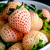 Strawberry Pineberry