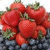 Everbearer Strawberry Candy Cascade