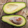 Avocado Tree Hass