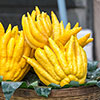 Citrus Buddhas Hand