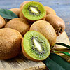 Self-fertile Kiwi Jenny Self-fertile Kiwi Jenny