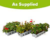 Nurserymans Garden Ready Collection Nurserymans Garden Ready Collection