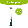 Common Beech Hedge Fagus sylvatica Pack of 10 Bare Roots 60/90cm Common Beech Hedge Fagus sylvatica Pack of 10 Bare Roots 60/90cm