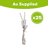 Bird Cherry Hedge Prunus padus Pack of 25 Bare Roots 60/90cm