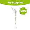 Blackthorn Hedge Prunus spinosa Pack of 25 Bare Roots 60/90cm
