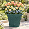 Blush & Champagne Luxury Bulb Lasagne Kit