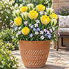 Lemon & Lime Luxury Bulb Lasagne Kit Lemon & Lime Luxury Bulb Lasagne Kit