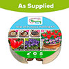 Tulip & Crocus Drop In Bulb Kit Tulip & Crocus Drop In Bulb Kit