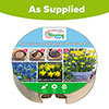 Blooming Fast Drop In Bulb Planter Narcissus and Muscari Kit Blooming Fast Drop In Bulb Planter Narcissus and Muscari Kit