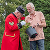 Harkness Rose Chelsea Pensioner �