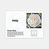 Personalise Your Own Cream Rose Personalise Your Own Cream Rose