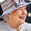 Gift Wrapped Harkness The Queen Elizabeth II Rose Gift Wrapped Harkness The Queen Elizabeth II Rose