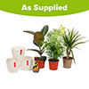 Houseplant Collection with Pots and Baby Bio Feed Houseplant Collection with Pots and Baby Bio Feed