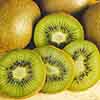 Actinidia deliciosa - Kiwi Fruit Jenny 