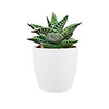 Elho White Houseplant Pot Cover