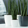 Elho White Houseplant Pot Cover